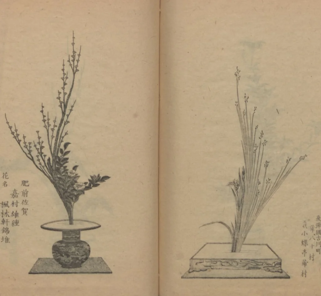 An illustration from Examples of the Flower Arrangement (Meiji shinsen risshō senkashiki 明治新撰千花式), 1889, leaf 51