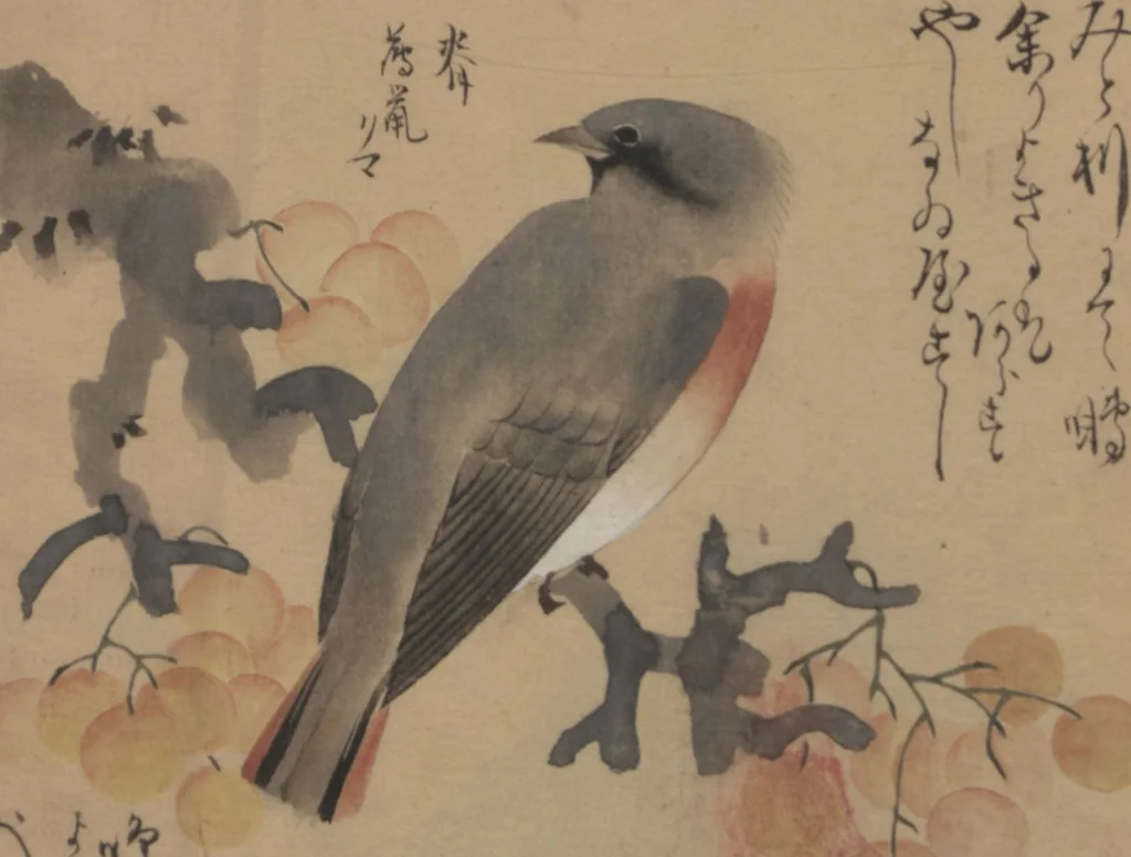An illustration from A Compendium of Small Birds (Kotori rui shū 小鳥類集), 1836, leaf 15