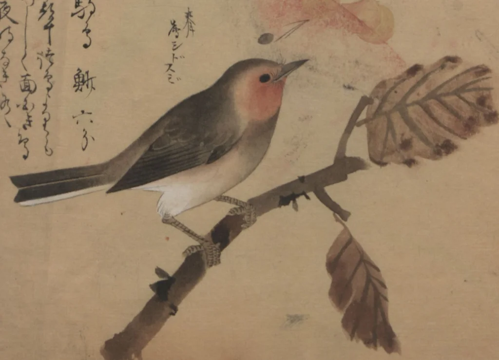 An illustration from A Compendium of Small Birds (Kotori rui shū 小鳥類集), 1836, leaf 15