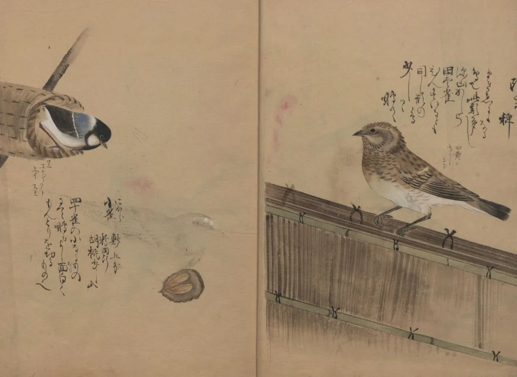 An illustration from A Compendium of Small Birds (Kotori rui shū 小鳥類集), 1836, leaf 7