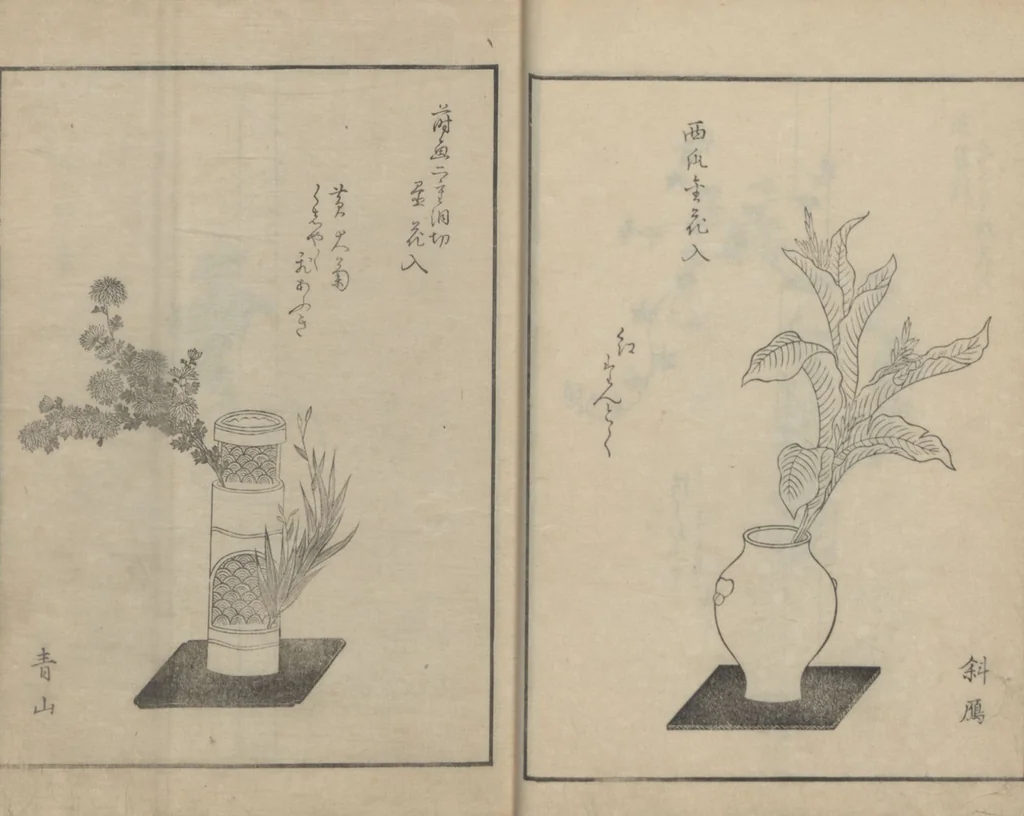 An illustration from A Book on Flower Arrangement: Hare's-Foot Fern (Shinobugusa 師廼部供作) : [volume 2], 1822, leaf 13