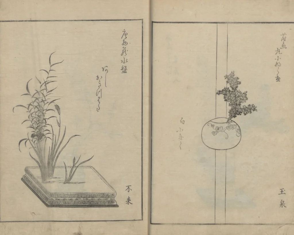 An illustration from A Book on Flower Arrangement: Hare's-Foot Fern (Shinobugusa 師廼部供作) : [volume 2], 1822, leaf 14