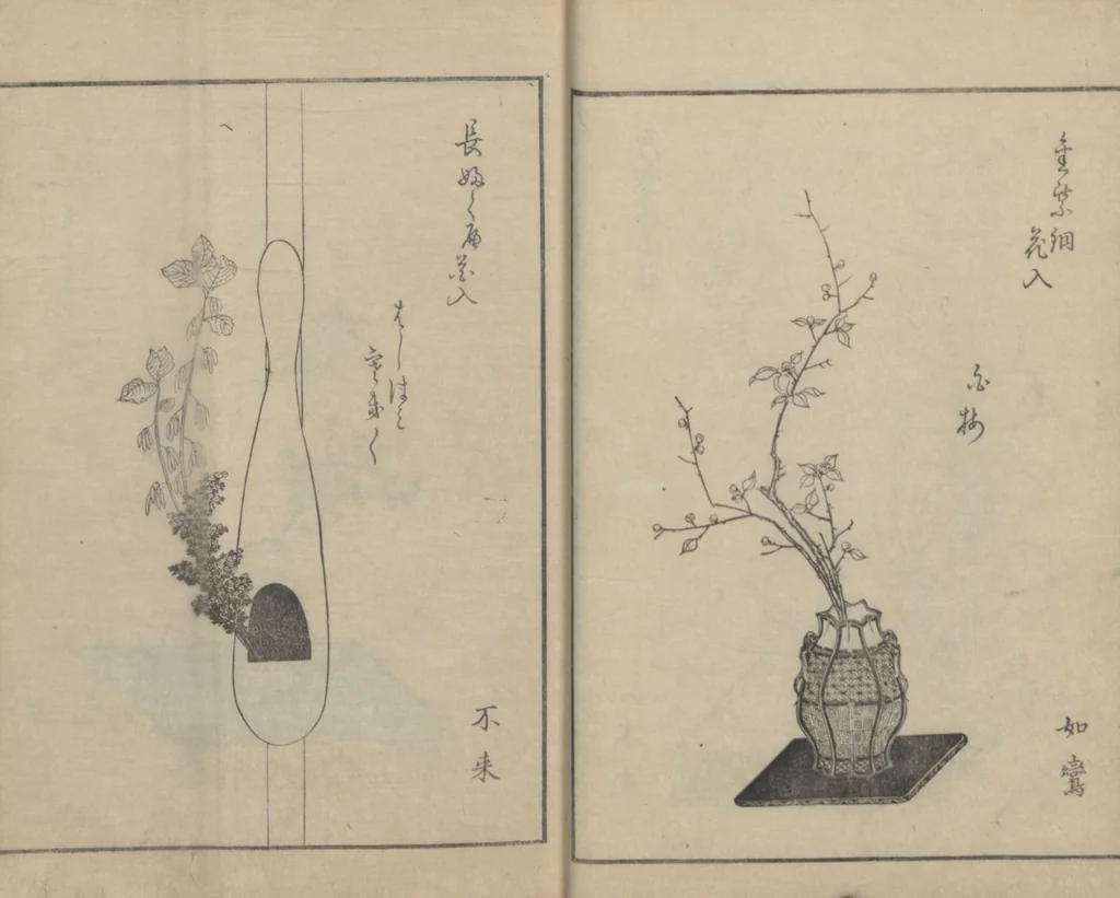 An illustration from A Book on Flower Arrangement: Hare's-Foot Fern (Shinobugusa 師廼部供作) : [volume 2], 1822, leaf 15