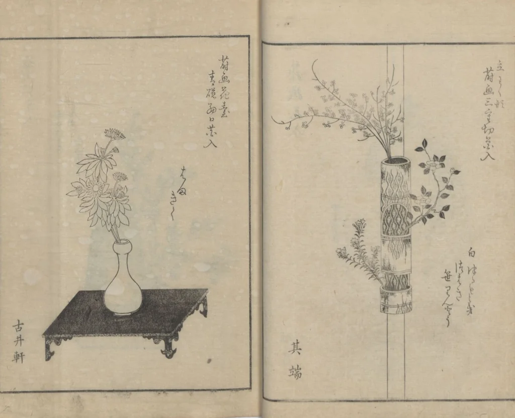 An illustration from A Book on Flower Arrangement: Hare's-Foot Fern (Shinobugusa 師廼部供作) : [volume 2], 1822, leaf 19