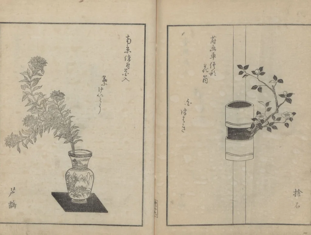 An illustration from A Book on Flower Arrangement: Hare's-Foot Fern (Shinobugusa 師廼部供作) : [volume 2], 1822, leaf 21