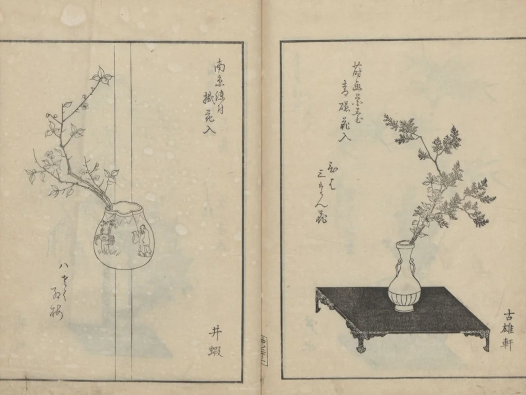 An illustration from A Book on Flower Arrangement: Hare's-Foot Fern (Shinobugusa 師廼部供作) : [volume 2], 1822, leaf 23