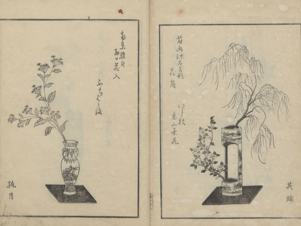 An illustration from A Book on Flower Arrangement: Hare's-Foot Fern (Shinobugusa 師廼部供作) : [volume 2], 1822, leaf 24