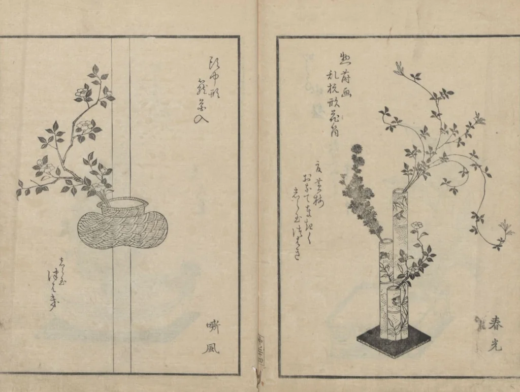 An illustration from A Book on Flower Arrangement: Hare's-Foot Fern (Shinobugusa 師廼部供作) : [volume 2], 1822, leaf 26