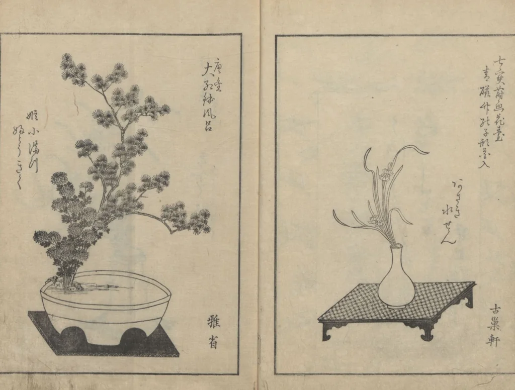 An illustration from A Book on Flower Arrangement: Hare's-Foot Fern (Shinobugusa 師廼部供作) : [volume 2], 1822, leaf 3