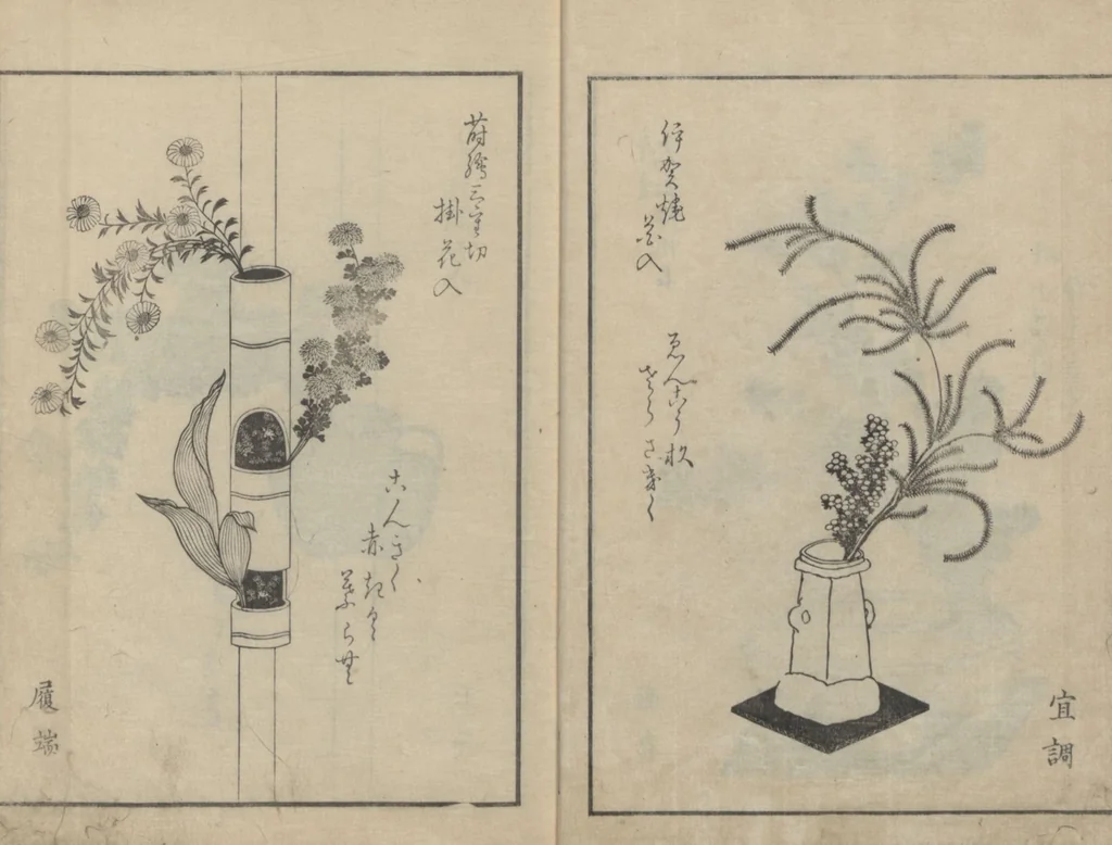 An illustration from A Book on Flower Arrangement: Hare's-Foot Fern (Shinobugusa 師廼部供作) : [volume 2], 1822, leaf 4