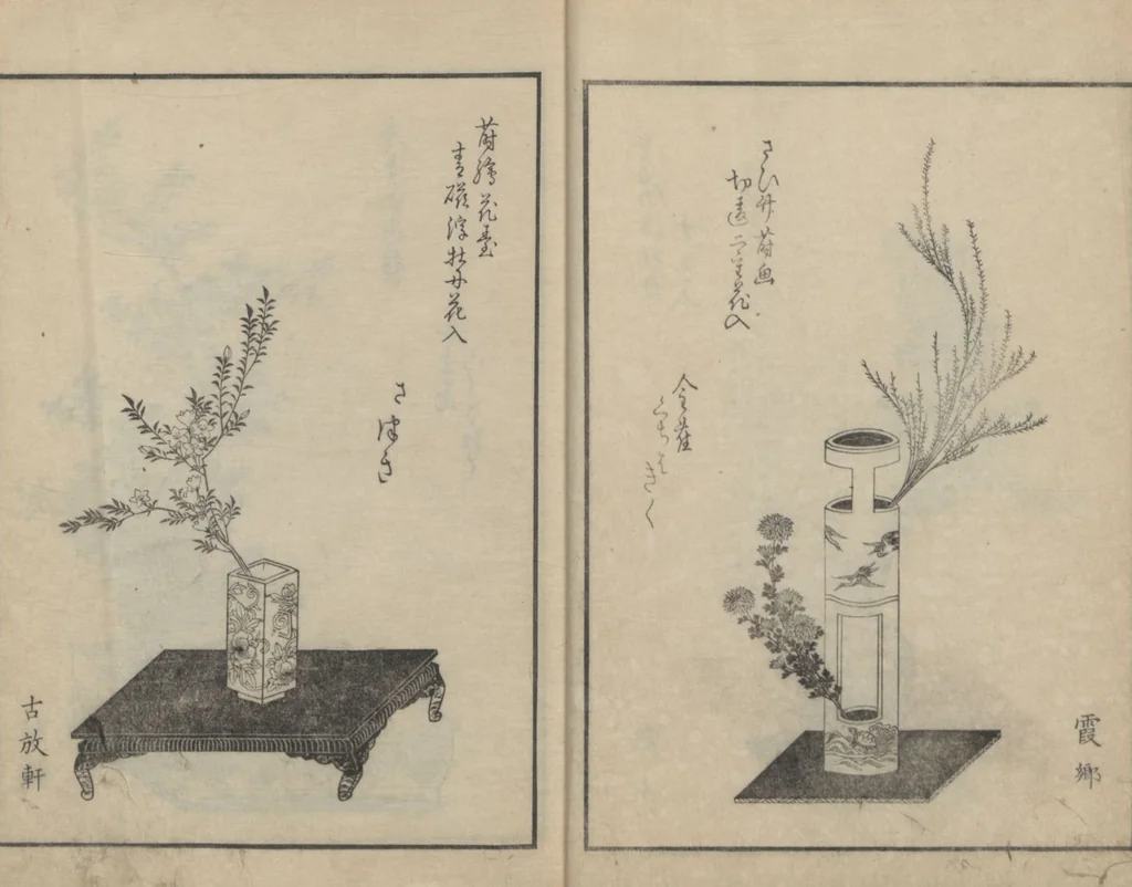 An illustration from A Book on Flower Arrangement: Hare's-Foot Fern (Shinobugusa 師廼部供作) : [volume 2], 1822, leaf 8