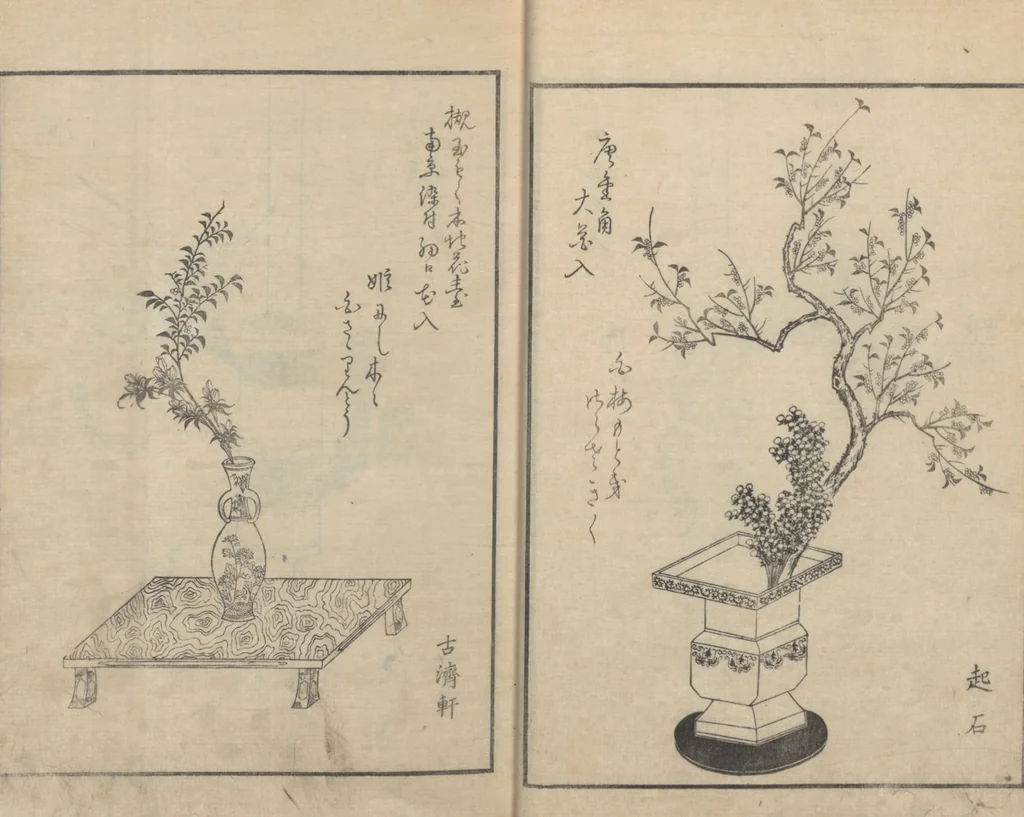 An illustration from A Book on Flower Arrangement: Hare's-Foot Fern (Shinobugusa 思乃父魚砂) : [volume 3], 1822, leaf 13