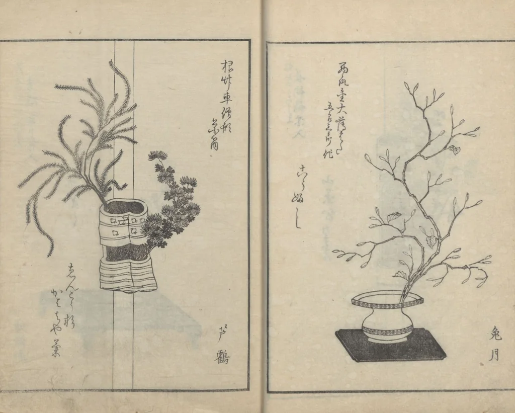 An illustration from A Book on Flower Arrangement: Hare's-Foot Fern (Shinobugusa 思乃父魚砂) : [volume 3], 1822, leaf 16