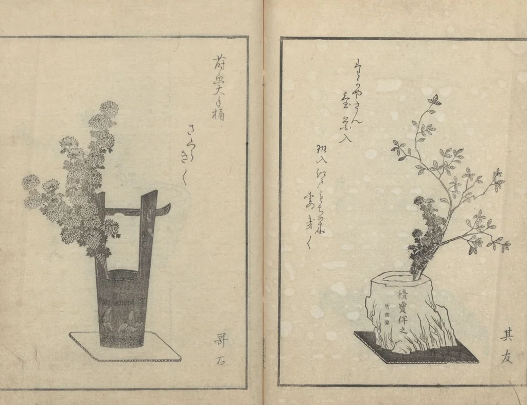 An illustration from A Book on Flower Arrangement: Hare's-Foot Fern (Shinobugusa 思乃父魚砂) : [volume 3], 1822, leaf 22