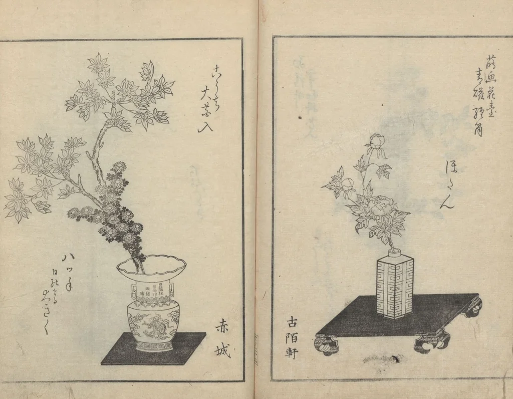 An illustration from A Book on Flower Arrangement: Hare's-Foot Fern (Shinobugusa 思乃父魚砂) : [volume 3], 1822, leaf 24