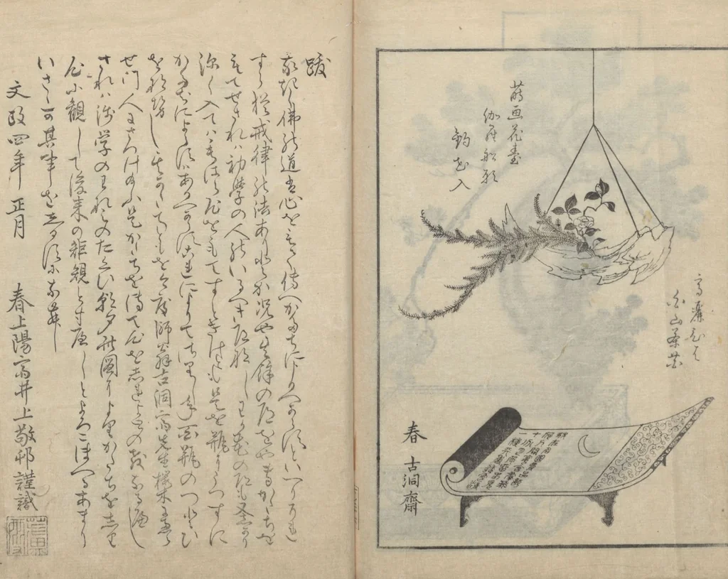 An illustration from A Book on Flower Arrangement: Hare's-Foot Fern (Shinobugusa 思乃父魚砂) : [volume 3], 1822, leaf 28