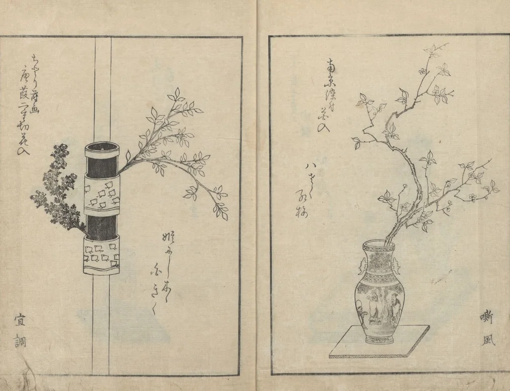 An illustration from A Book on Flower Arrangement: Hare's-Foot Fern (Shinobugusa 思乃父魚砂) : [volume 3], 1822, leaf 4