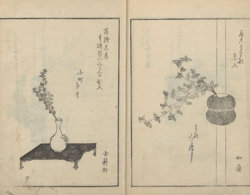 An illustration from A Book on Flower Arrangement: Hare's-Foot Fern (Shinobugusa 思乃父魚砂) : [volume 3], 1822, leaf 7