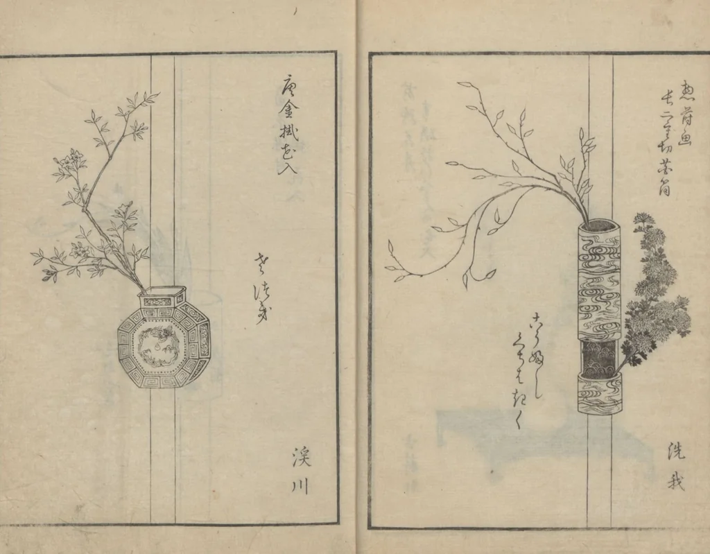 An illustration from A Book on Flower Arrangement: Hare's-Foot Fern (Shinobugusa 思乃父魚砂) : [volume 3], 1822, leaf 8