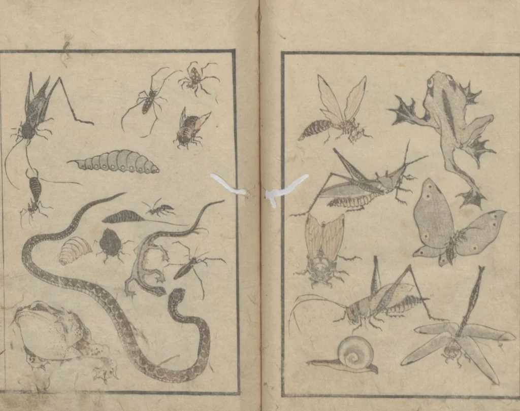 An illustration from Transmitting the Spirit, Revealing the Form of Things, Volume 1 (Denshin kaishu: Hokusai manga, shohen 傳神開手 北斎漫画初編), 1814, leaf 19