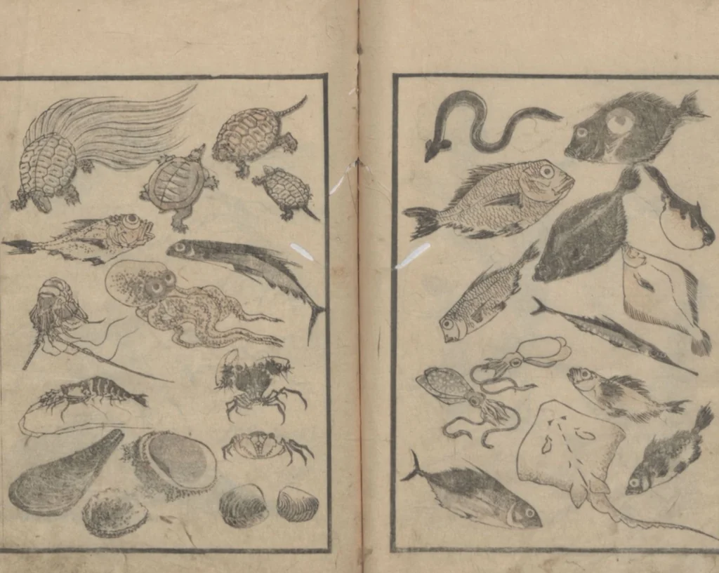 An illustration from Transmitting the Spirit, Revealing the Form of Things, Volume 1 (Denshin kaishu: Hokusai manga, shohen 傳神開手 北斎漫画初編), 1814, leaf 22