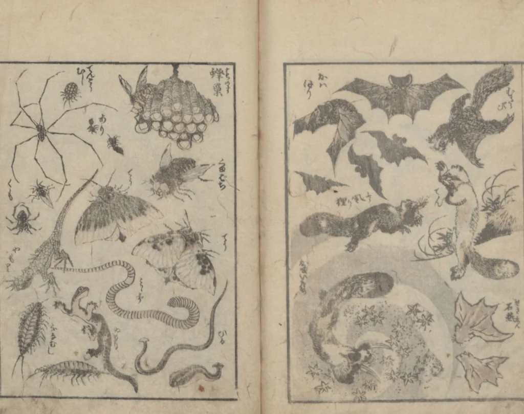 An illustration from Transmitting the Spirit, Revealing the Form of Things, Volume 2 (Denshin kaishu: Hokusai manga, nihen 傳神開手 北斎漫画二編), 1815, leaf 30