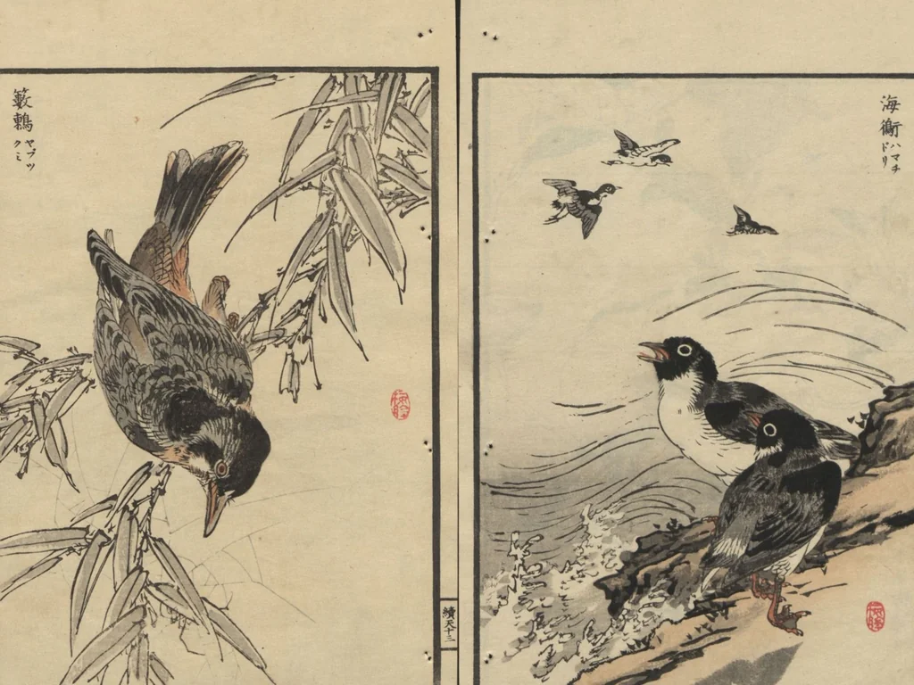 An illustration from Bairei Picture Album of One Hundred Birds (Bairei hyakuchō gafu 楳嶺百鳥畫譜) : [volume 1], 1884, leaf 17