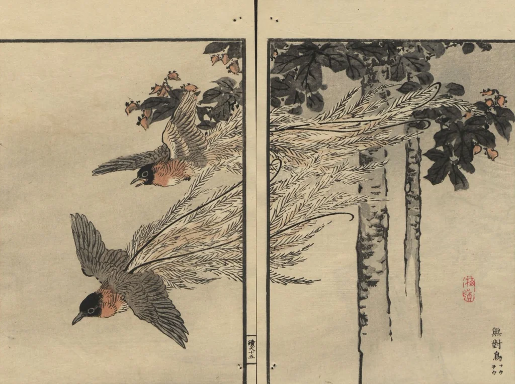 An illustration from Bairei Picture Album of One Hundred Birds (Bairei hyakuchō gafu 楳嶺百鳥畫譜) : [volume 1], 1884, leaf 19