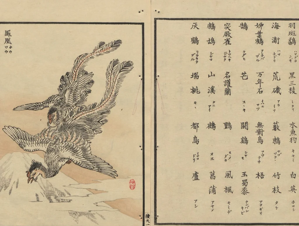 An illustration from Bairei Picture Album of One Hundred Birds (Bairei hyakuchō gafu 楳嶺百鳥畫譜) : [volume 1], 1884, leaf 5