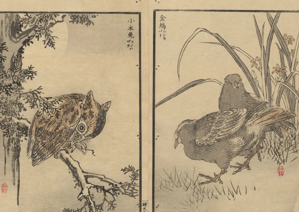 An illustration from Bairei Picture Album of One Hundred Birds (Bairei hyakuchō gafu 楳嶺百鳥畫譜) : [volume 1], 1884, leaf 9
