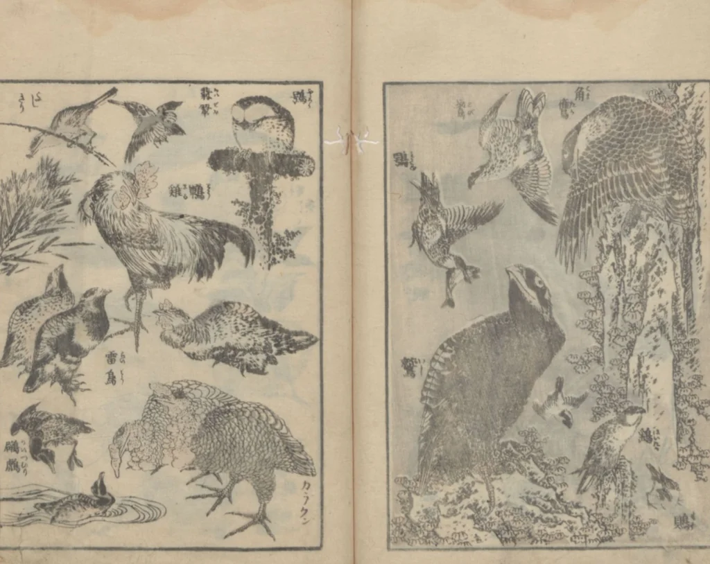 An illustration from Transmitting the Spirit, Revealing the Form of Things, Volume 3 (Denshin kaishu: Hokusai manga, sanpen 傳神開手 北斎漫画三編), 1815, leaf 28