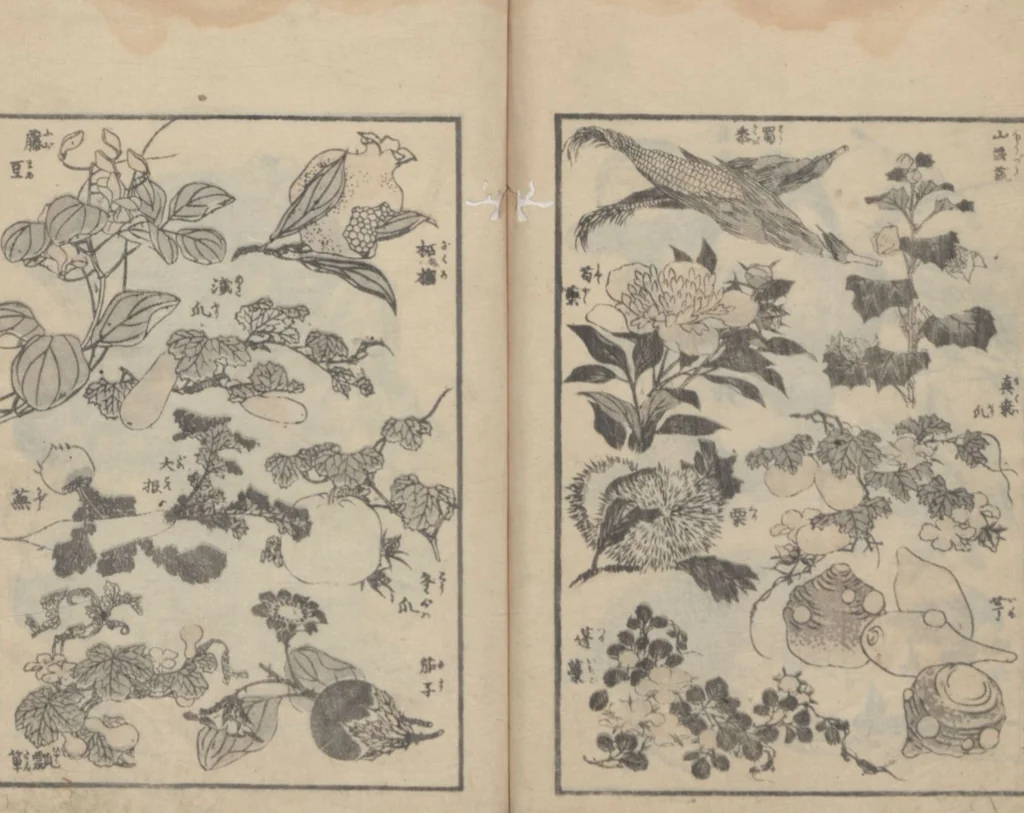 An illustration from Transmitting the Spirit, Revealing the Form of Things, Volume 3 (Denshin kaishu: Hokusai manga, sanpen 傳神開手 北斎漫画三編), 1815, leaf 29
