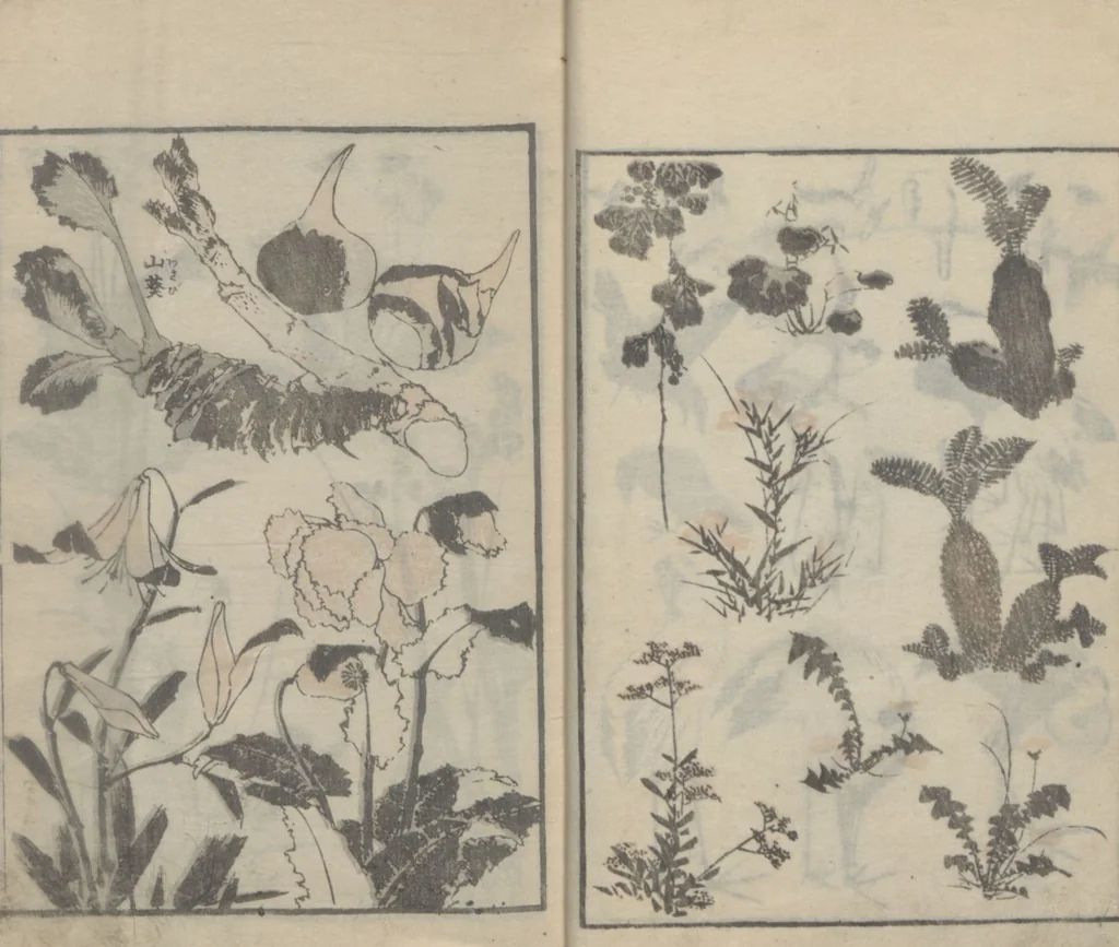 An illustration from Transmitting the Spirit, Revealing the Form of Things, Volume 4 (Denshin kaishu: Hokusai manga, yonhen 傳神開手 北斎漫画四編), 1816, leaf 10