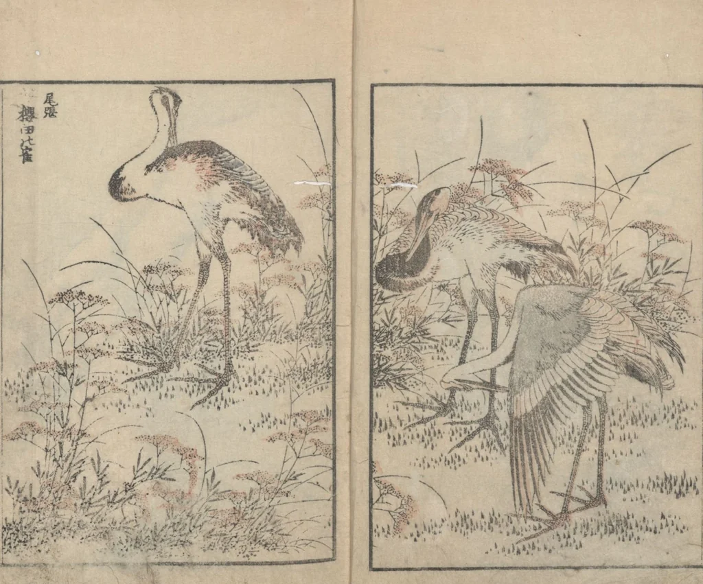 An illustration from Transmitting the Spirit, Revealing the Form of Things, Volume 7 (Denshin kaishu: Hokusai manga, nanahen 傳神開手 北斎漫画七編), 1817, leaf 4