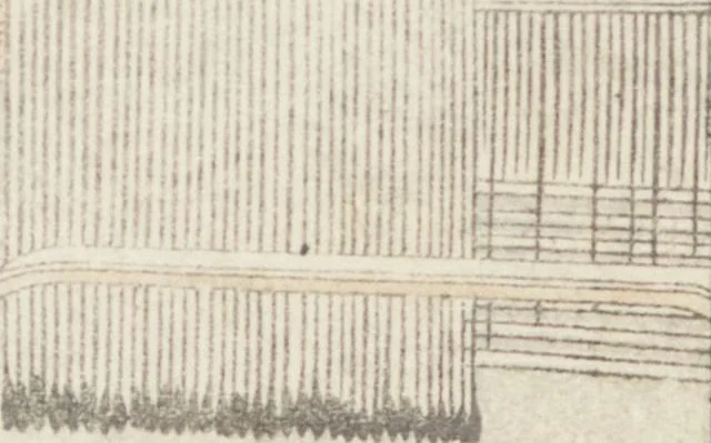 An illustration from Transmitting the Spirit, Revealing the Form of Things, Volume 8 (Denshin kaishu: Hokusai manga, happen 傳神開手 北斎漫画八編), 1817, leaf 17