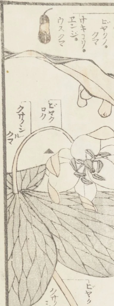 An illustration from Transmitting the Spirit, Revealing the Form of Things, Volume 8 (Denshin kaishu: Hokusai manga, happen 傳神開手 北斎漫画八編), 1817, leaf 46