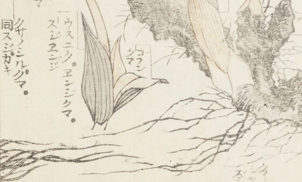 An illustration from Transmitting the Spirit, Revealing the Form of Things, Volume 8 (Denshin kaishu: Hokusai manga, happen 傳神開手 北斎漫画八編), 1817, leaf 46