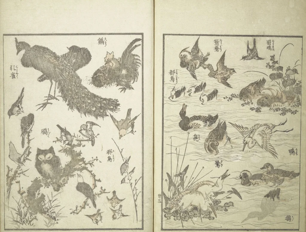 An illustration from Picture Album of the Floating World (Ukiyo efu 浮世画譜) : [volume 1], 1820, leaf 26