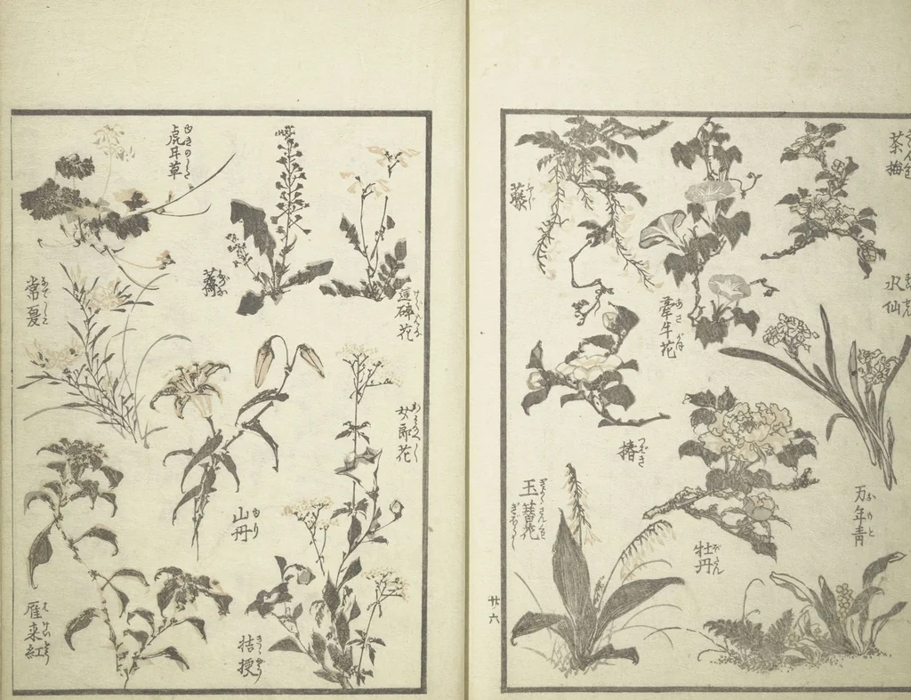 An illustration from Picture Album of the Floating World (Ukiyo efu 浮世画譜) : [volume 1], 1820, leaf 29