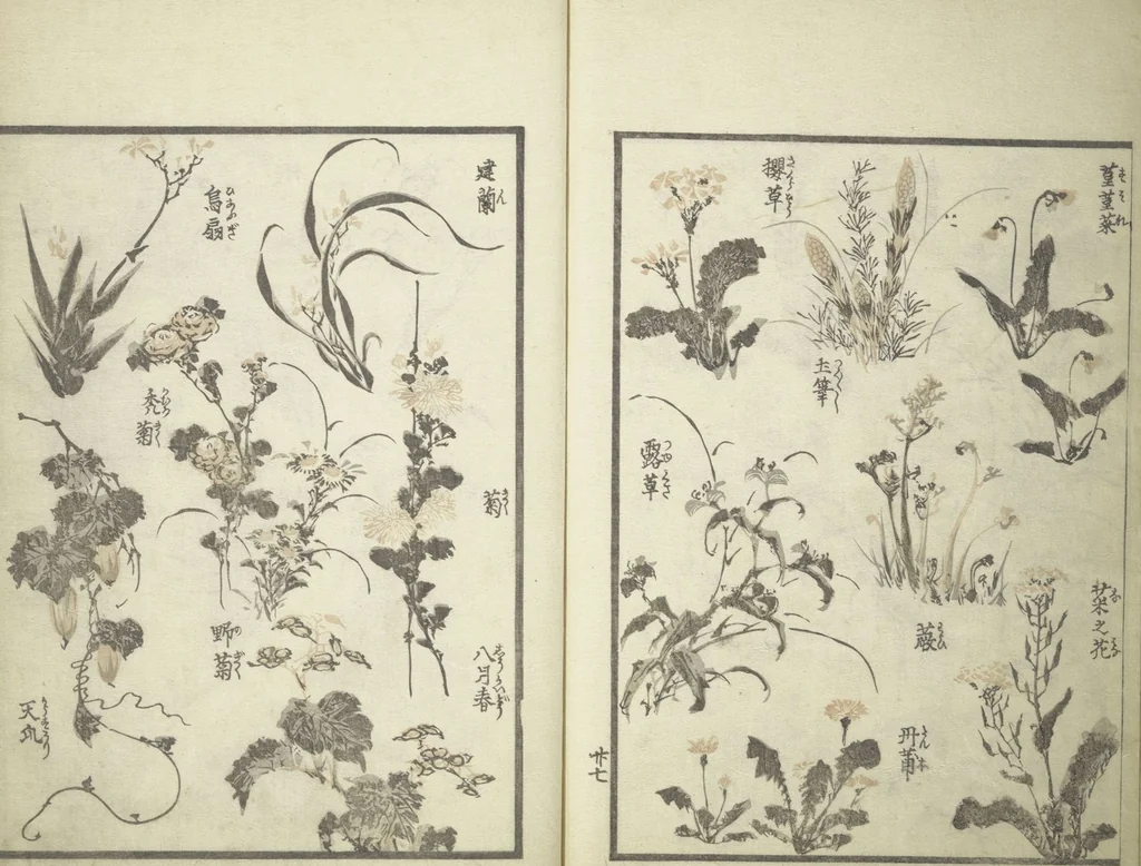 An illustration from Picture Album of the Floating World (Ukiyo efu 浮世画譜) : [volume 1], 1820, leaf 30