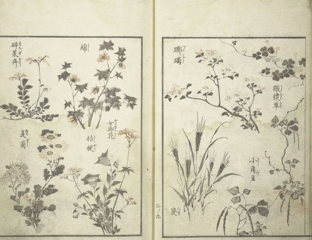 An illustration from Picture Album of the Floating World (Ukiyo efu 浮世画譜) : [volume 2], 1820, leaf 12