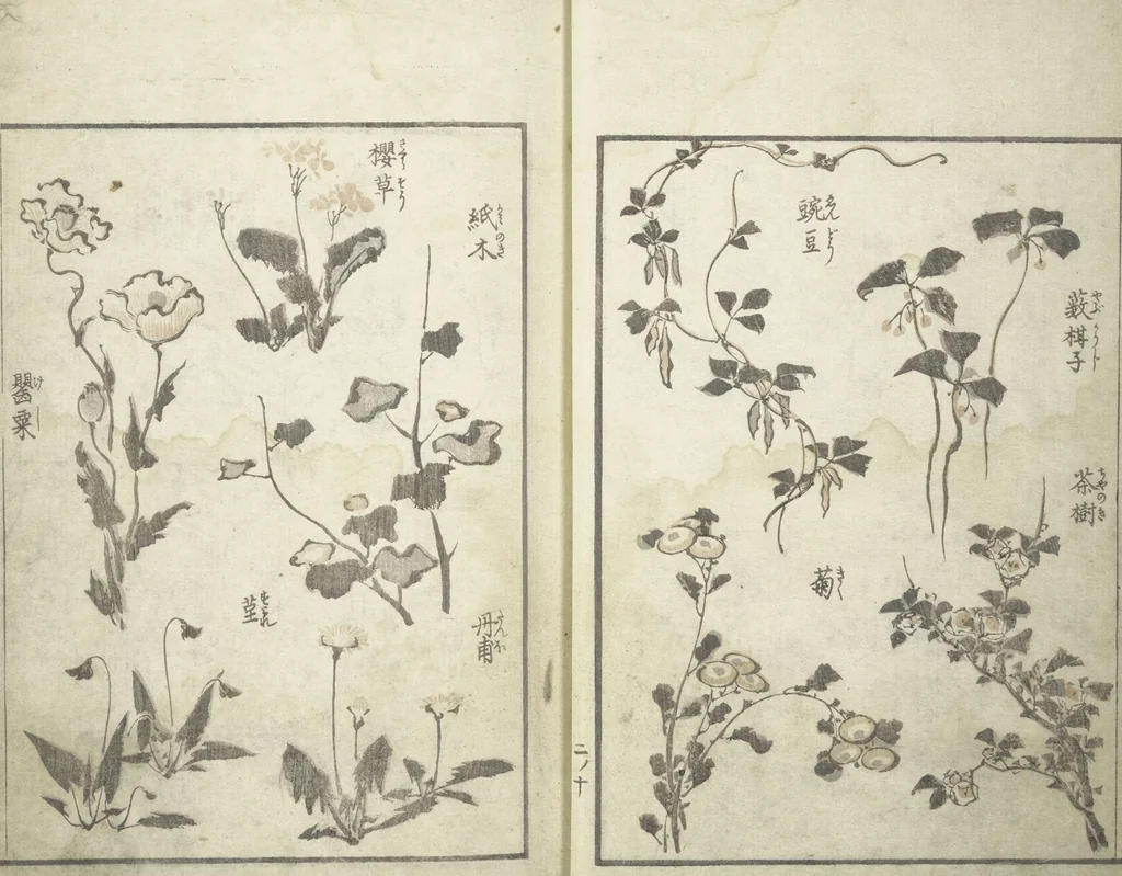 An illustration from Picture Album of the Floating World (Ukiyo efu 浮世画譜) : [volume 2], 1820, leaf 13