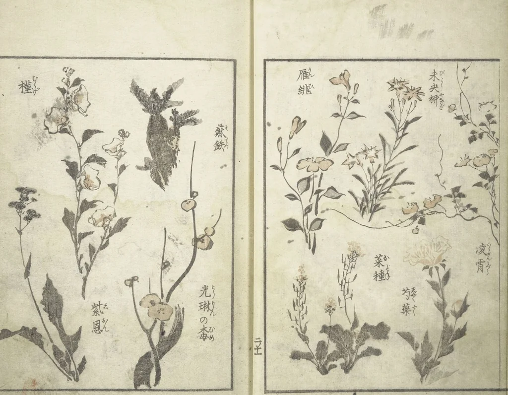 An illustration from Picture Album of the Floating World (Ukiyo efu 浮世画譜) : [volume 2], 1820, leaf 14