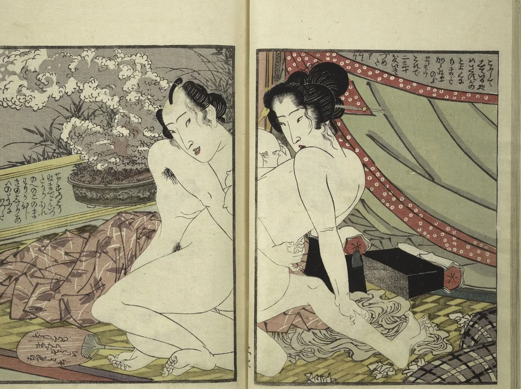 An illustration from An Erotic Picture Book of Snow on Fuji (Enpon fuji no yuki 艶本 婦慈のゆき), 1824, leaf 11