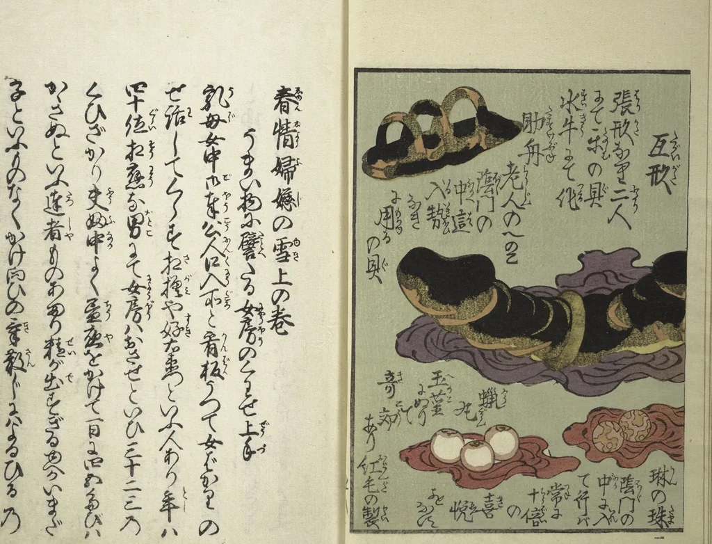 An illustration from An Erotic Picture Book of Snow on Fuji (Enpon fuji no yuki 艶本 婦慈のゆき), 1824, leaf 12