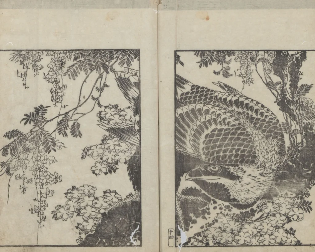 An illustration from Examples of Hokusai's Drawing (Hokusai gashiki 北斎画式), 1818, leaf 18