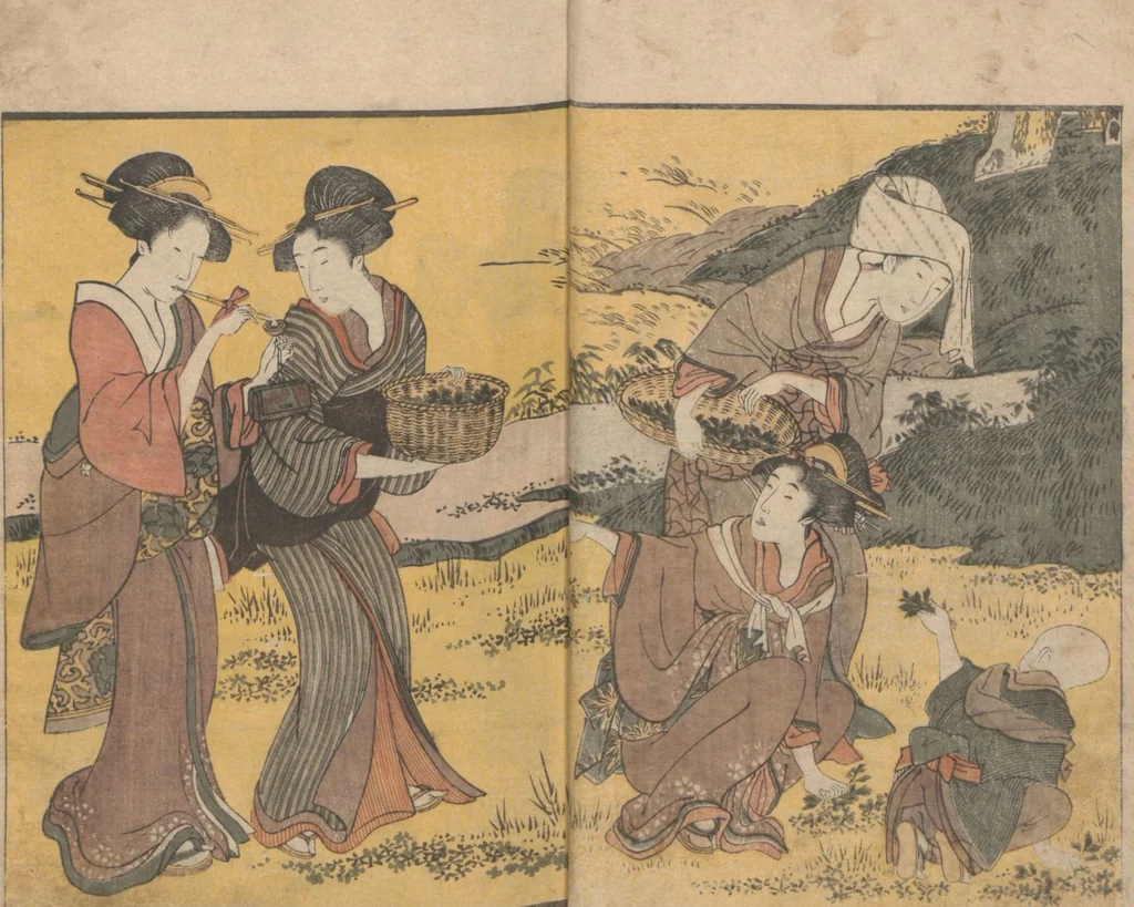 An illustration from Picture Book of Flowers of the Four Seasons (Ehon shiki no hana) : [volume 1], 1801, leaf 6