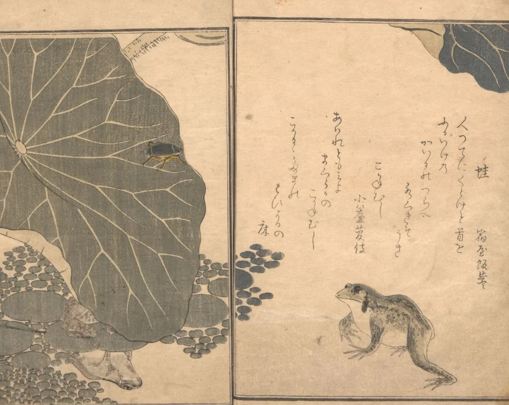An illustration from Picture Book of Crawling Creatures (The Insect Book) (Ehon mushi erami), 1823, leaf 16