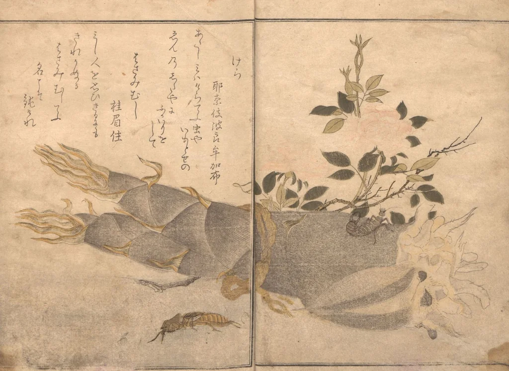 An illustration from Picture Book of Crawling Creatures (The Insect Book) (Ehon mushi erami), 1823, leaf 5
