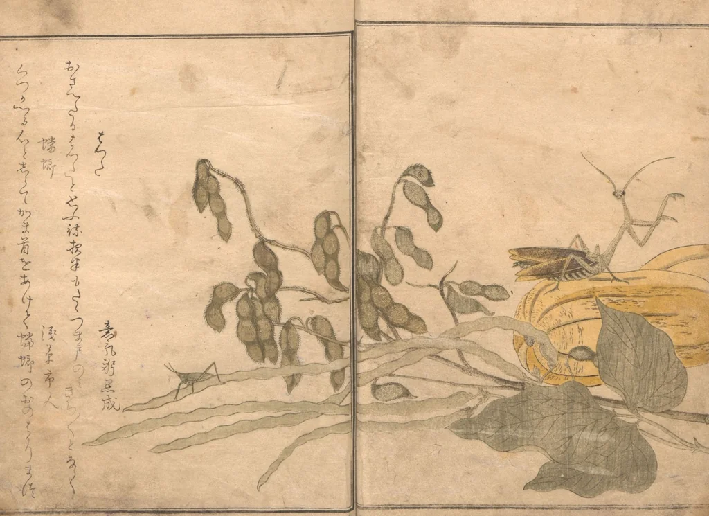 An illustration from Picture Book of Crawling Creatures (The Insect Book) (Ehon mushi erami), 1823, leaf 9